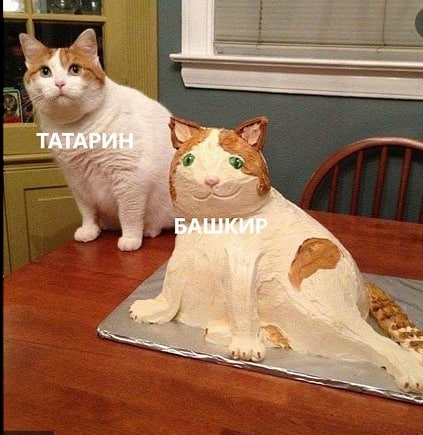 Мем Татарин - Башкир