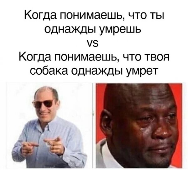 Когда понимаешь что однажды умрёшь - Когда понимаешь что твоя собака однажды умрёт