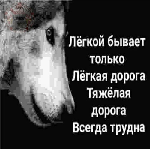 Лёгкой бывает только лёгкая дорога - Тяжёлая дорога всегда трудна