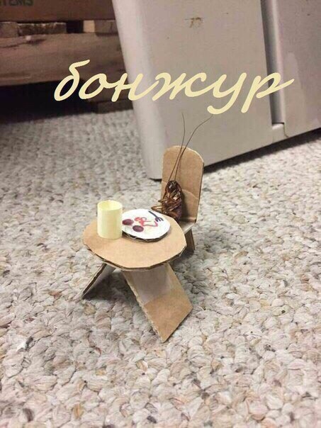 Бонжур