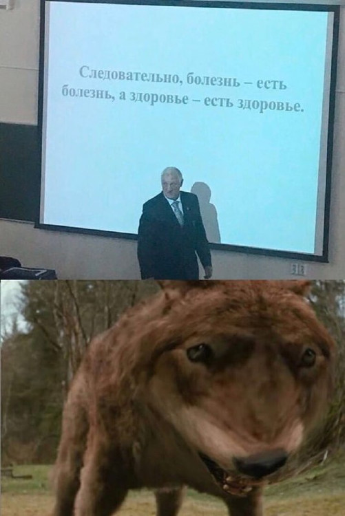 Следовательно болезнь есть болезнь а здоровье есть здоровье