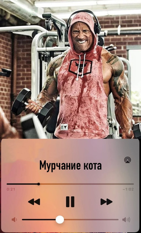 Мурчание кота