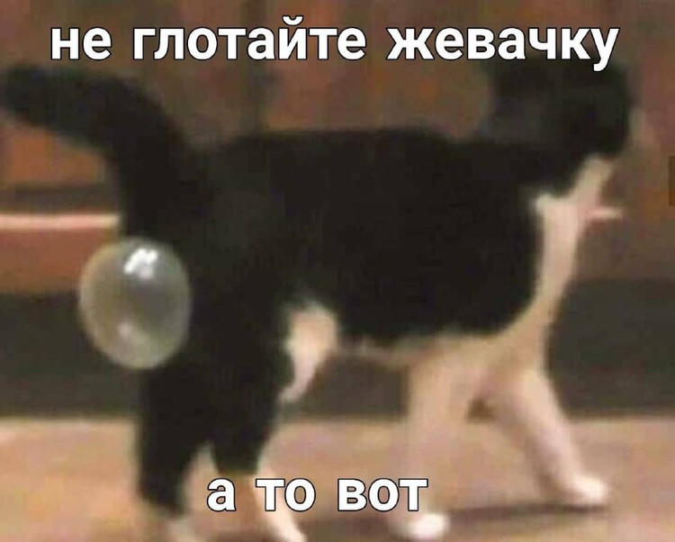 Не глотайте жевачку а то вот