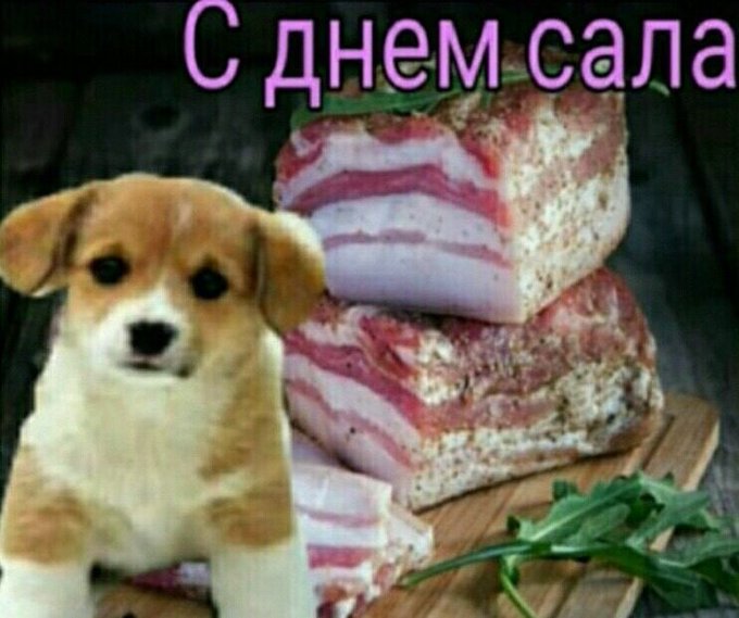 С днём сала
