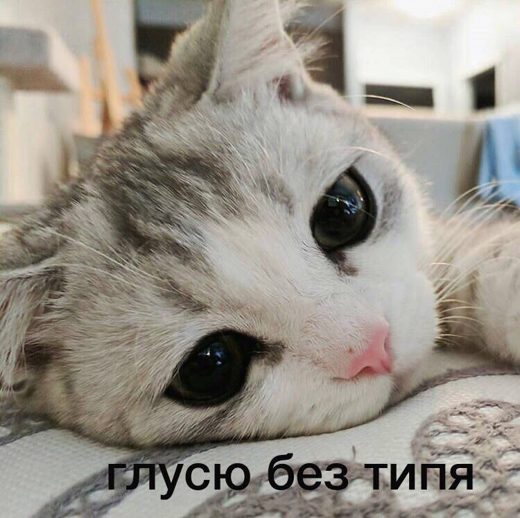 Глусю без типя
