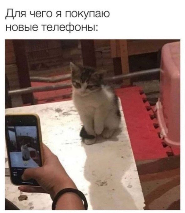 Для чего я покупаю новые телефоны
