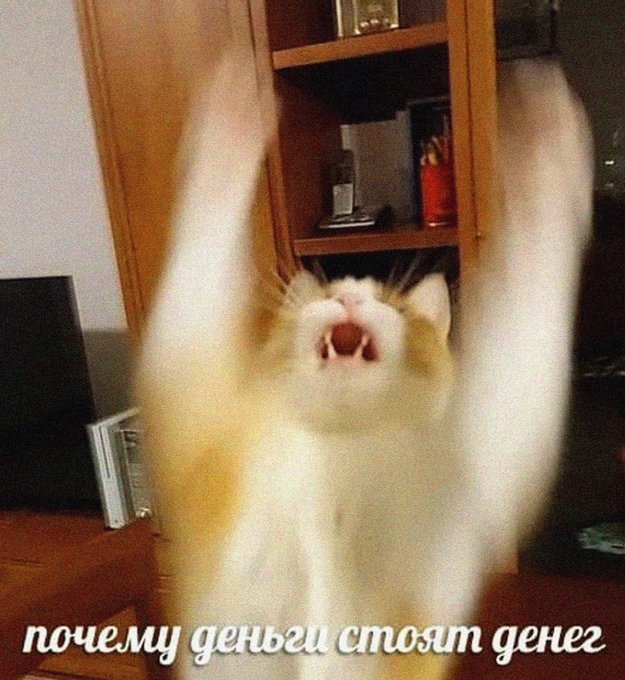 Почему деньги стоят денег