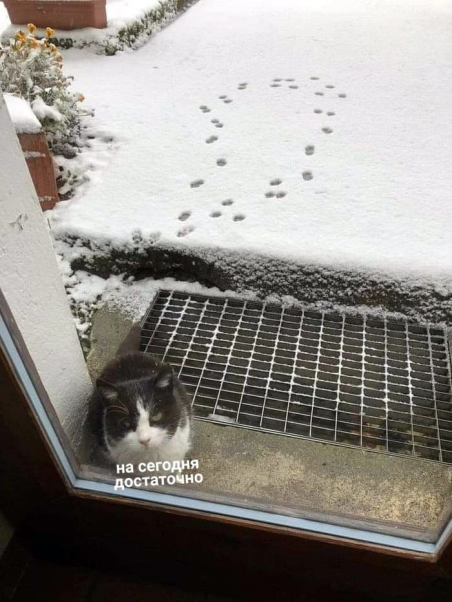 На сегодня достаточно