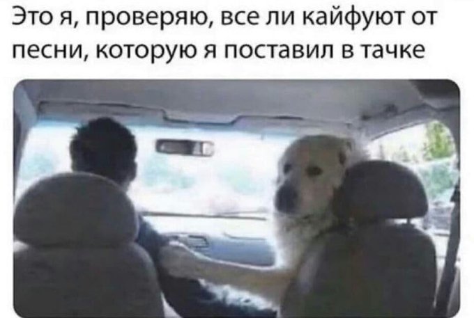 Это я проверяю все ли кайфуют от песни которую я поставил в тачке