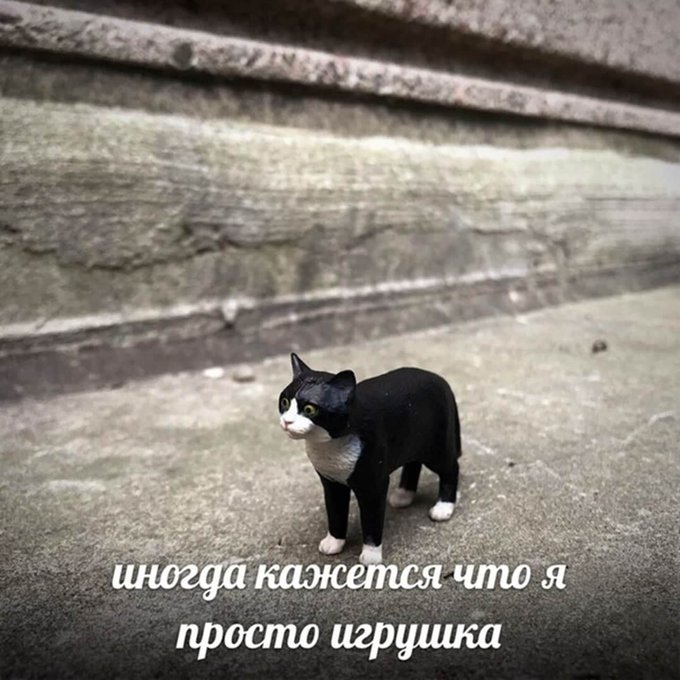 Иногда кажется что я просто игрушка