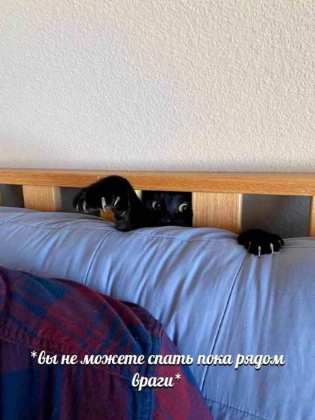 Вы не можете спать пока рядом враги