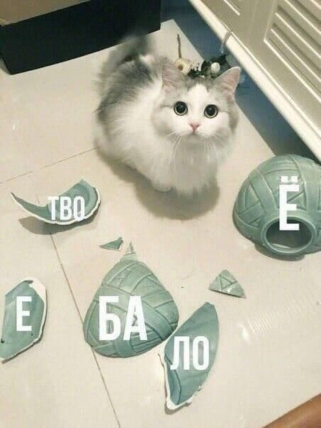 Твоё ебало