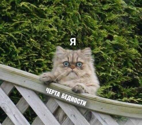 Я - Черта бедности
