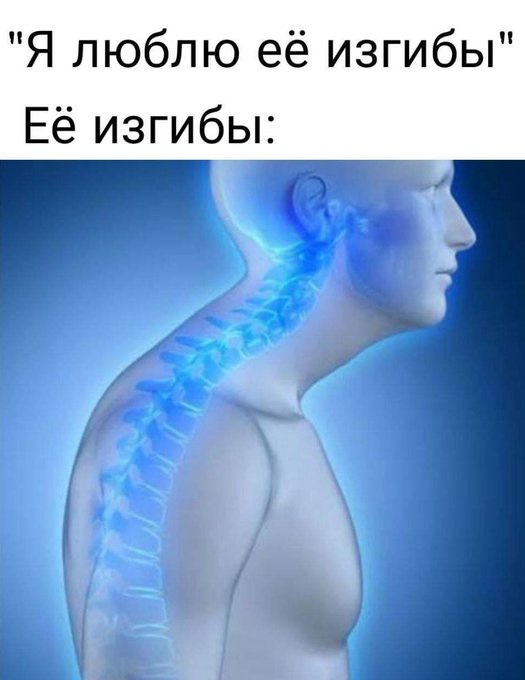 Я люблю её изгибы