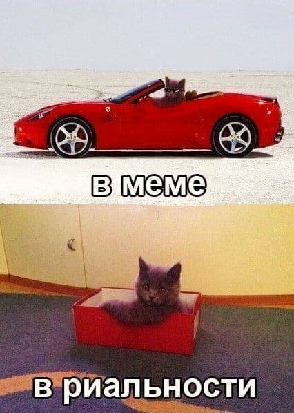 В меме - В реальности