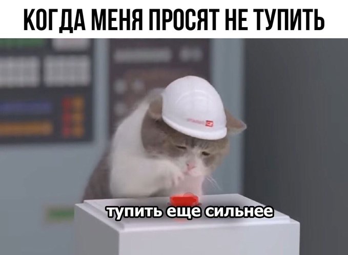 Когда меня просят не тупить - Тупить ещё сильнее