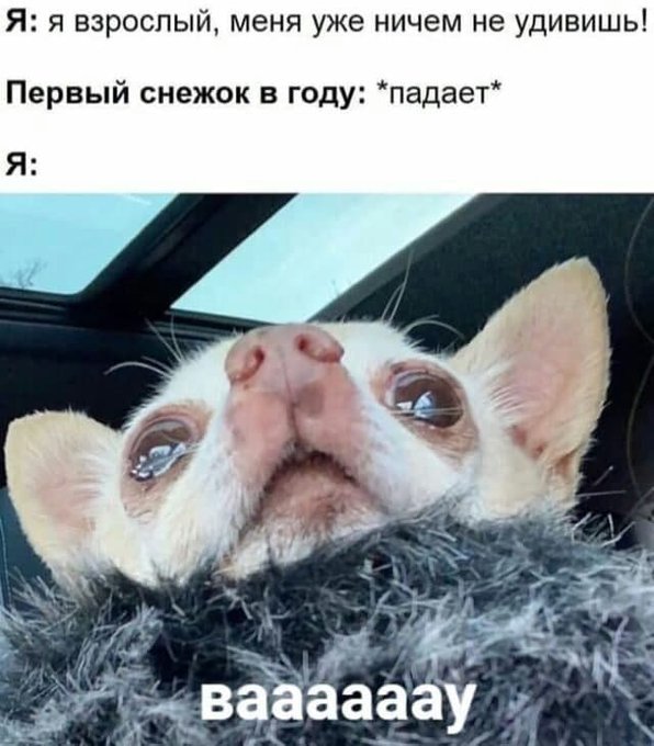 Я взрослый меня уже ничем не удивишь - Первый снежок падает
