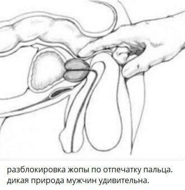 Разблокировка жопы по отпечатку пальца