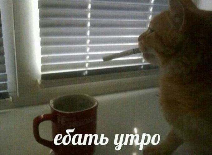 Ебать утро
