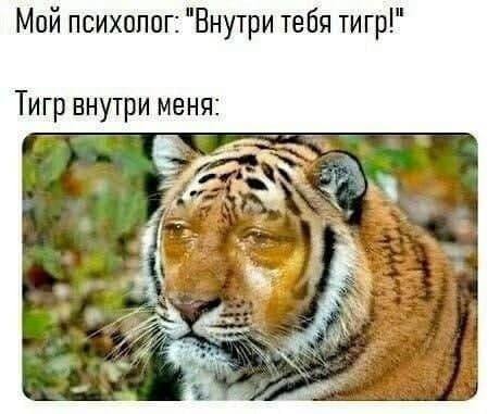 Внутри тебя тигр!