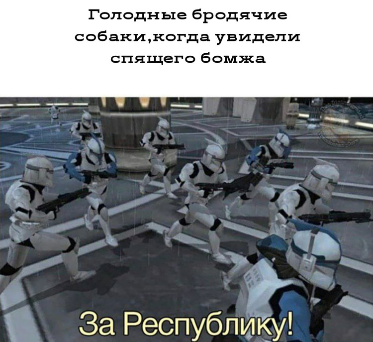 Голодные бродячие собаки когда увидели бомжа! - За республику!