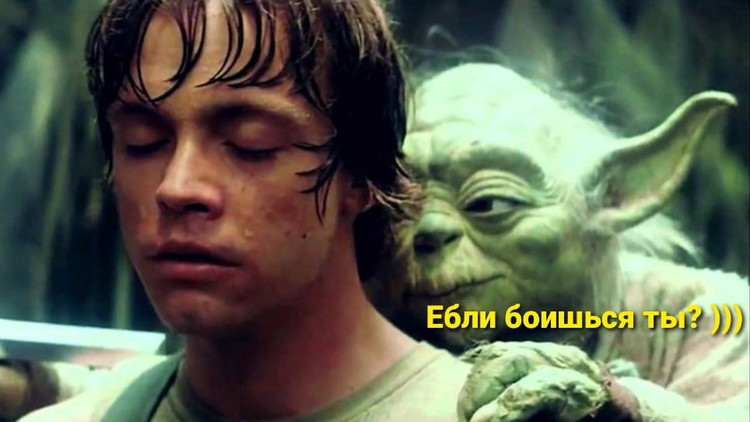 Ебли боишься ты? - Йода Логвинов
