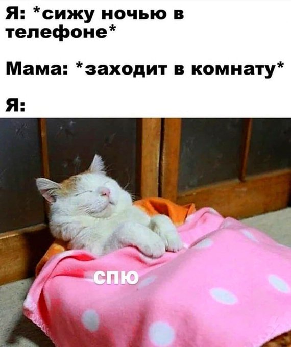 Сижу ночью в телефоне - Мама заходит в комнату - Сплю