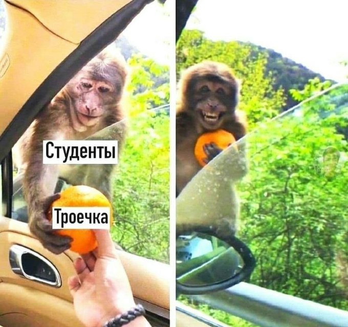 Студенты - Троечка