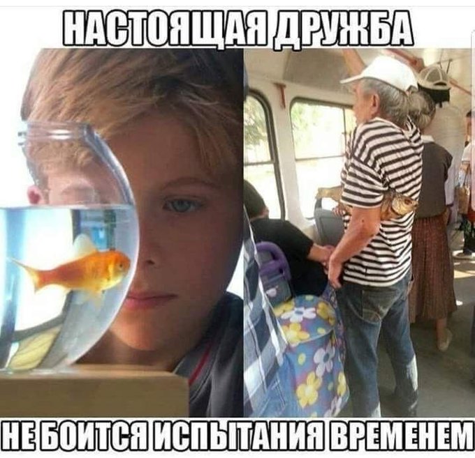 Настоящая дружба не боится испытания временем