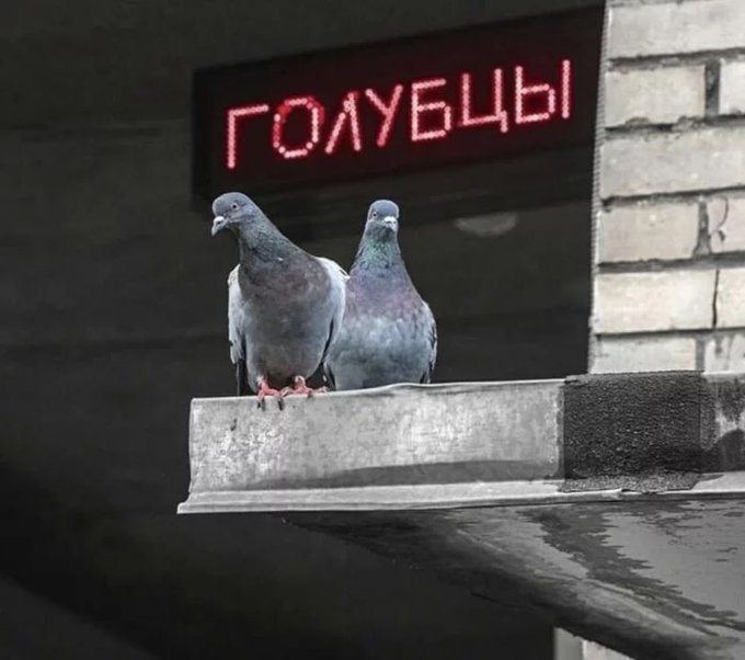Голубцы
