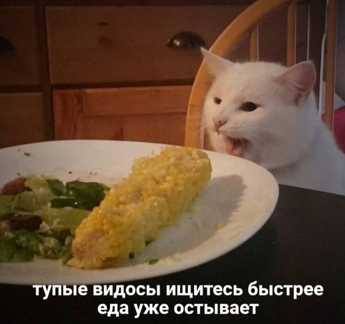 Тупые видосы ищитесь быстрее еда остывает