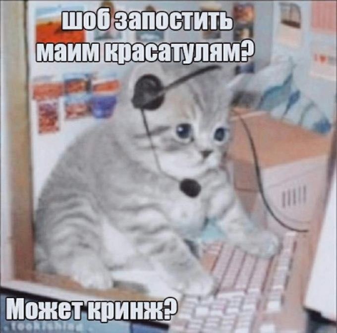 Шоб запостить моим красотулям? Может кринж?
