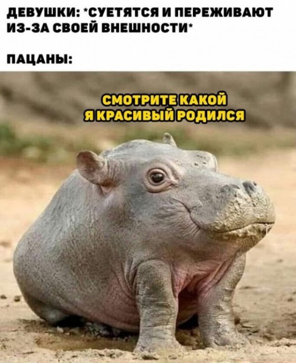 Девушки суетятся и переживают из-за своей внешности - Пацаны