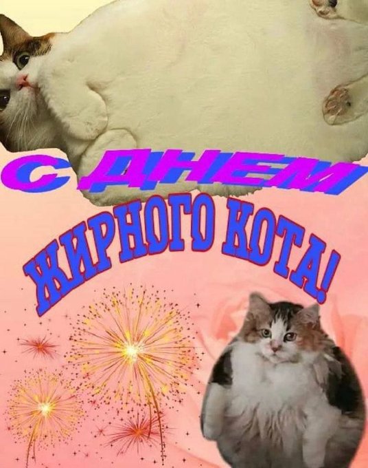 С днём жирного кота