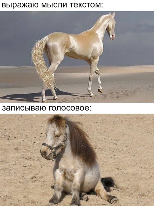 Выражаю мысли текстом - Записываю голосовое