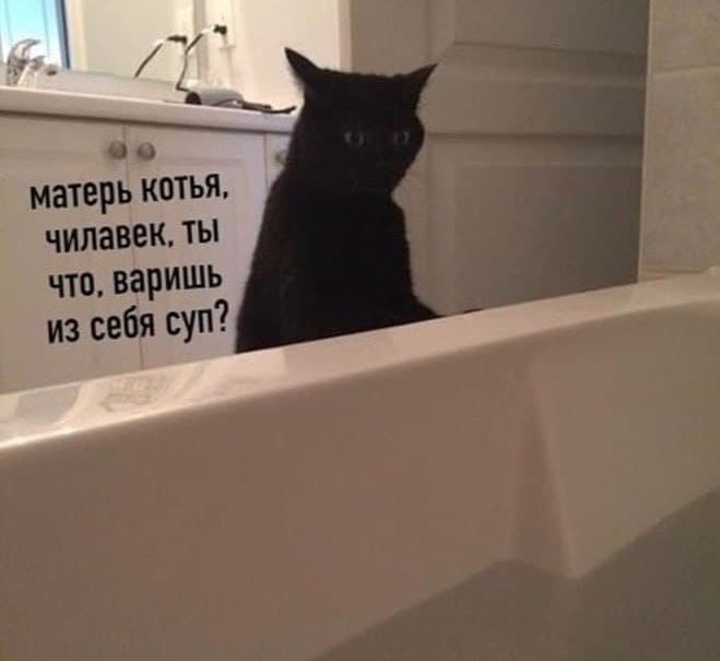 Матерь котья чилавек ты что варишь из себя суп?