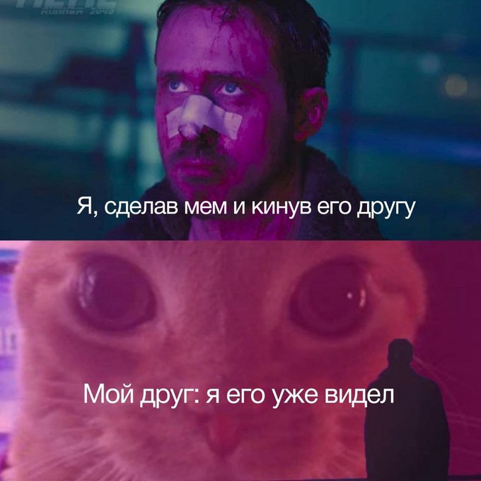 Я сделав мем и кинув его другу - Друг: я его уже видел