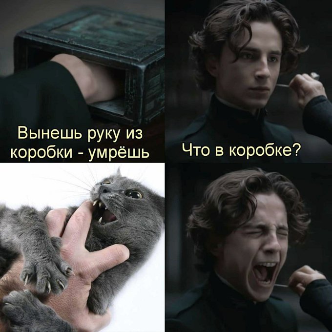 Вынешь руку из коробки - умрёшь - Что в коробке?