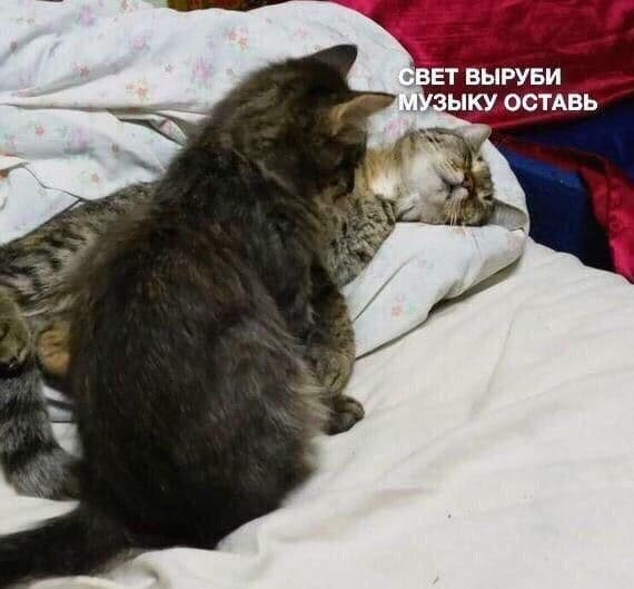 Свет выруби - Музыку оставь