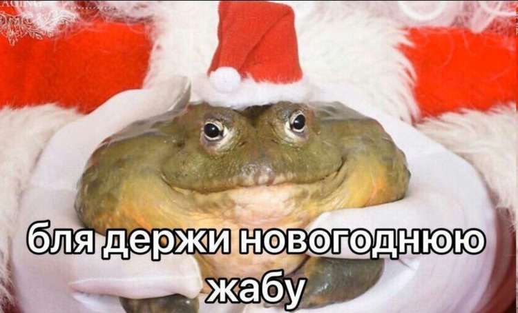 Бля держи новогоднюю жабу