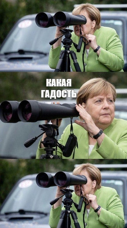 Какая гадость - Меркель