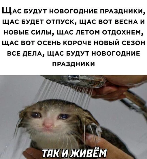 Щас будут новогодние праздники, щас будет отпуск, щас будет весна