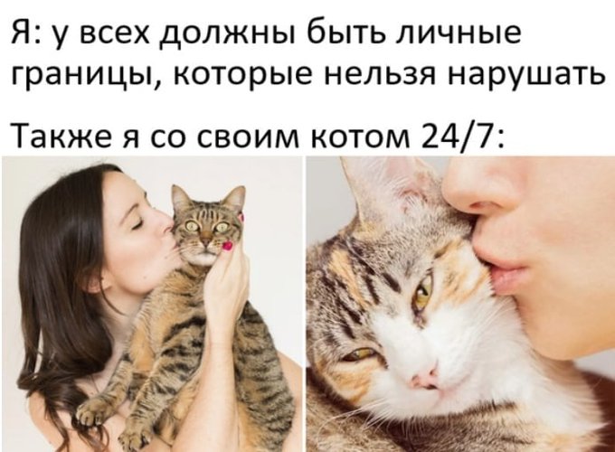 У всех должны быть личные границы которые нельзя нарушать - Также я со своим котом