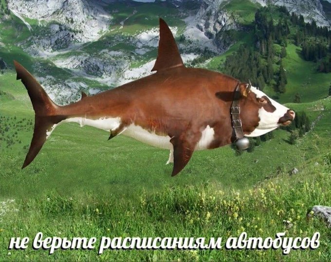 Не верьте расписаниям автобусов