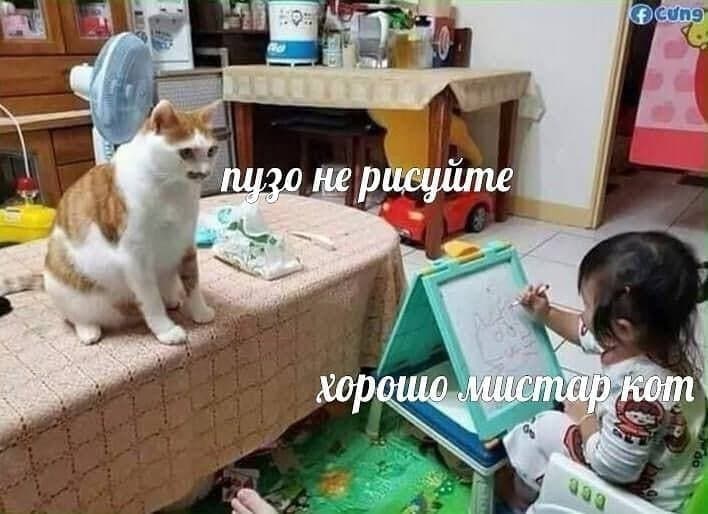 Пузо не рисуйте - Хорошо мистер кот