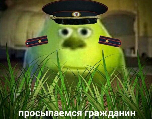 Просыпаемся, гражданин