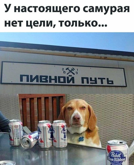 У настоящего самурая нет цели только Пивной Путь