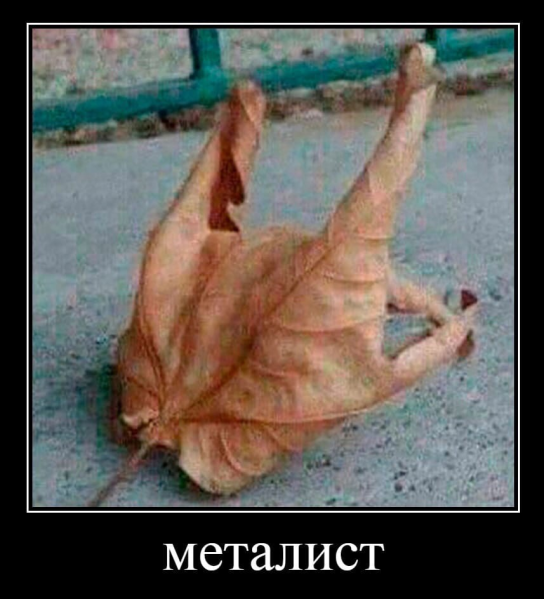 Металист