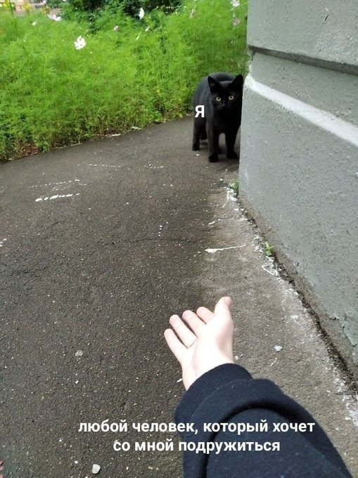 Любой человек который хочет со мной подружиться - Я