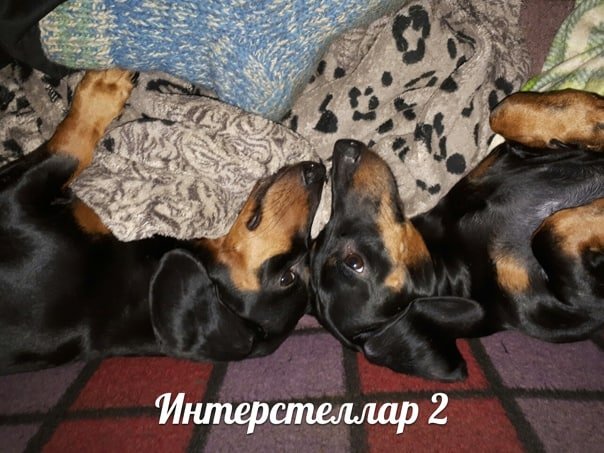 Интерстеллар 2
